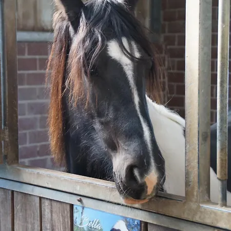 Appartement Hof Scholl Rees